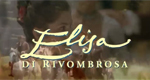 logo serie-tv Elisa di Rivombrosa